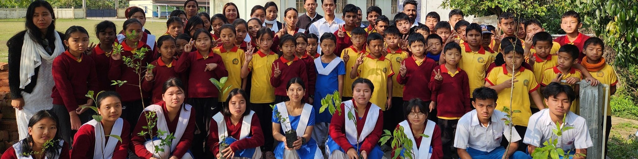 Inner Banner of Consumer Affairs