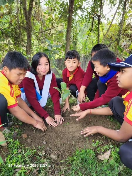 planted fruits saplings at school campus by class X